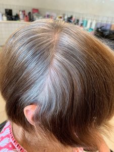 1. Grey Blending photo 1. The ends had the grown out tint after growing the hair for 6 months 225x300 - Grey Blending Hairdresser in Tweed Heads | Transitioning to Natural Grey Hair